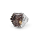 One of a Kind Moss Agate 48.5ct and Champagne Diamond 0.40ct Ring in Sterling Silver with 18K Gold Adam